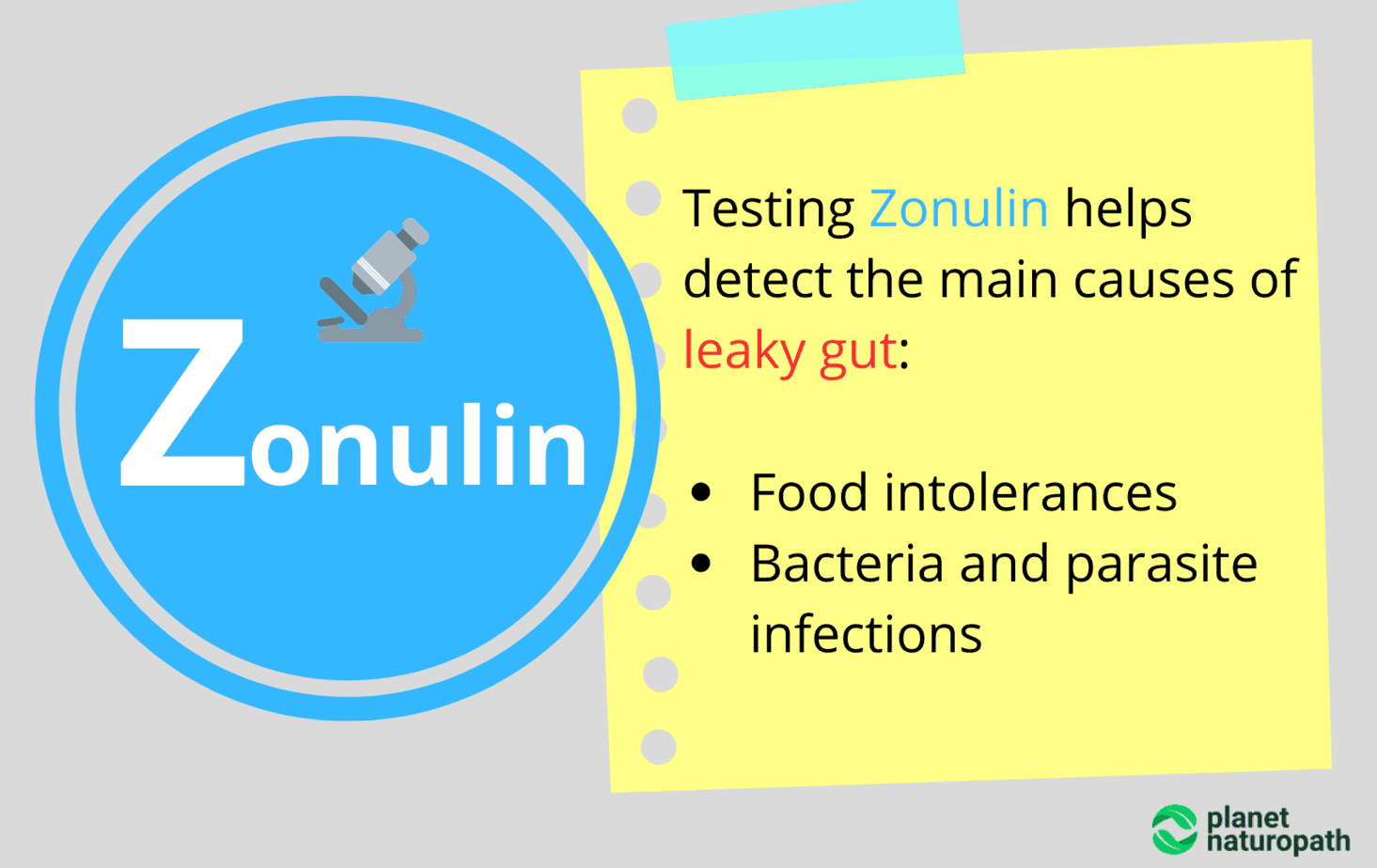 Testing Zonulin helps detect the main causes of leaky gut