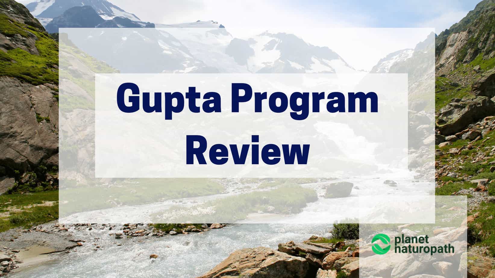 Gupta-Program-Review