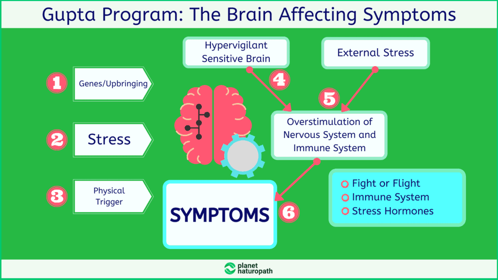 Gupta-Program_-The-Brain-Affecting-Symptoms