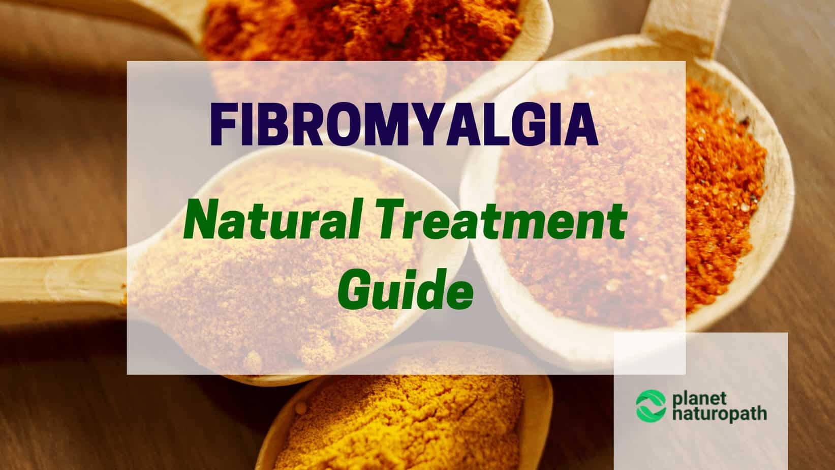 Fibromyalgia-Natural-Treatment-Guide