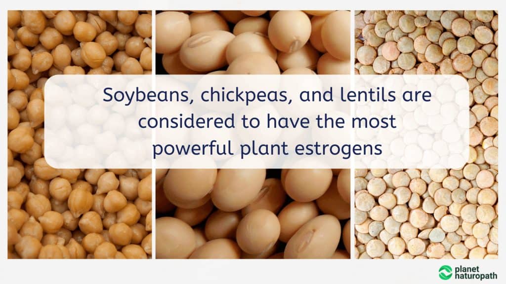 How to Reduce Hot Flashes and Sleep Better 8 Powerful-plant-estrogens