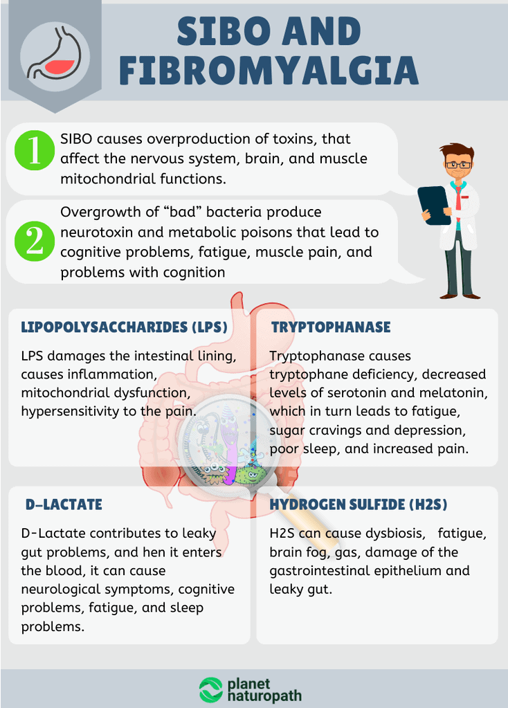 SIBO-and-Fibromyalgia