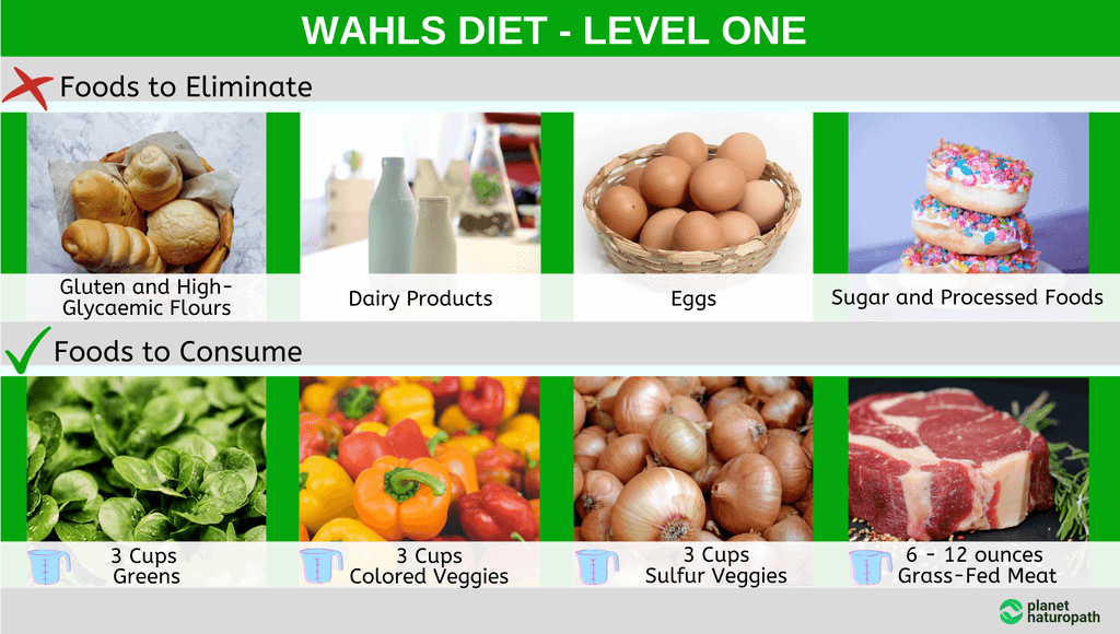 Wahls-Diet-Level-One