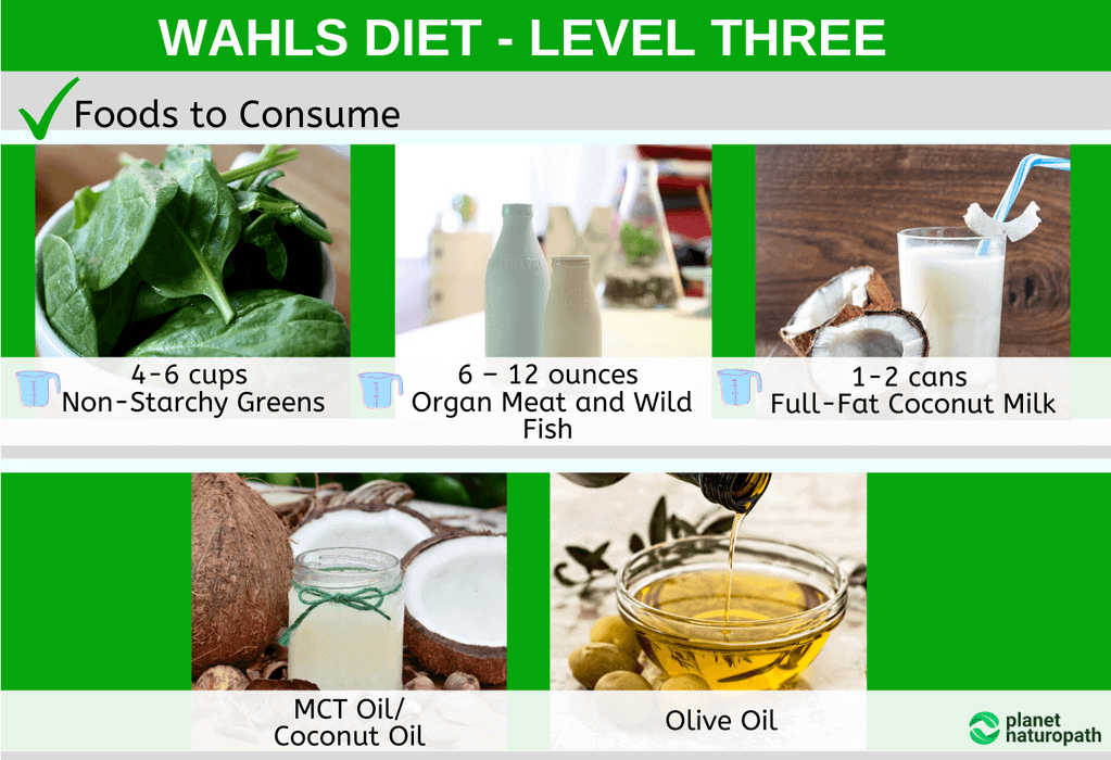 Wahls-Diet-Level-Three