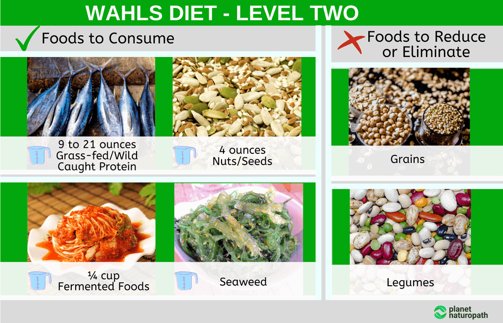 Wahls Protocol for MS and Autoimmune Diseases 1