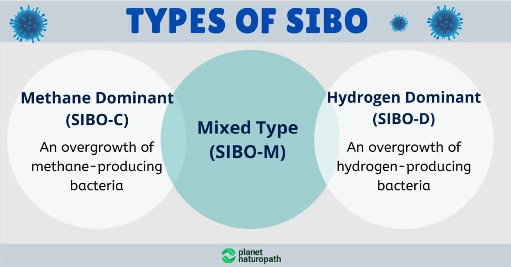 SIBO Guide (To Help You Eliminate IBS) 2