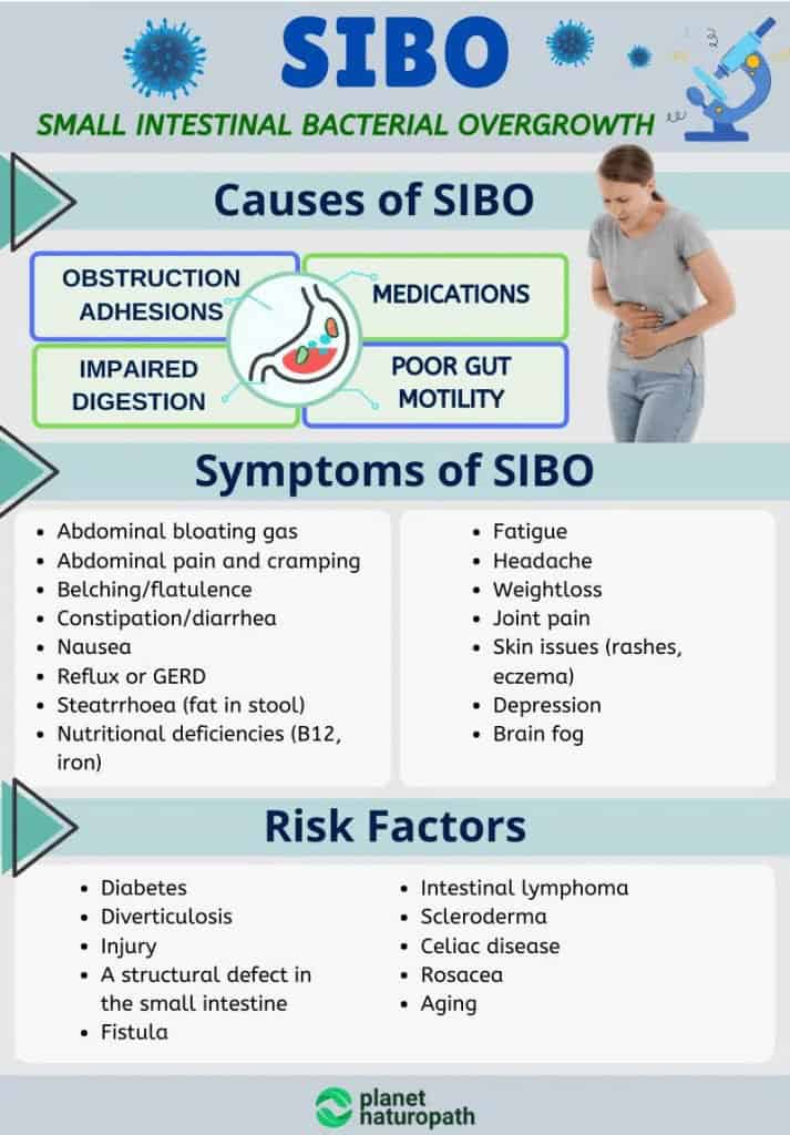 SIBO Guide (To Help You Eliminate IBS) 2 SIBO Guide (To Help You Eliminate IBS) 1