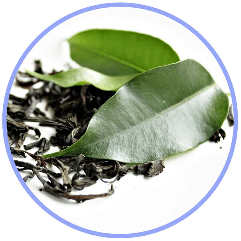 Green Tea Extract Green-Tea-Extract