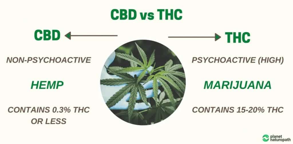 8 Benefits of CBD Oil 1