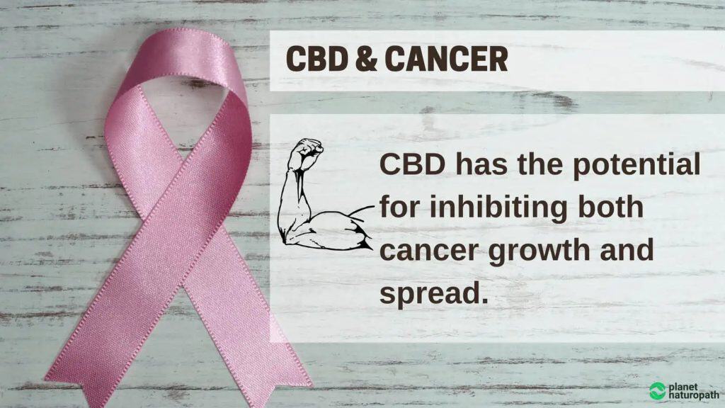 8 Benefits of CBD Oil 7