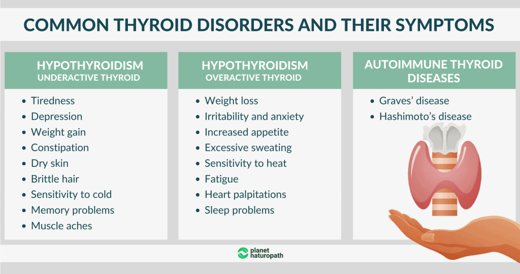 Common-thyroid-disorders-and-their-symptoms