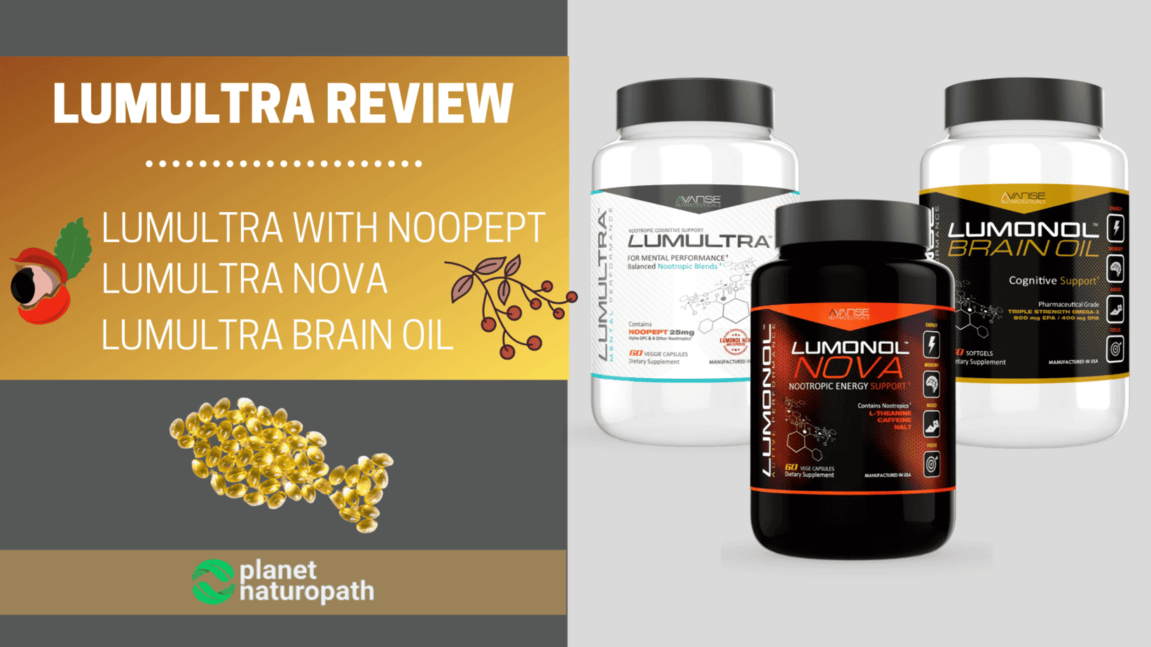 LumUltra-Review-Brain-Enhancing-Supplements