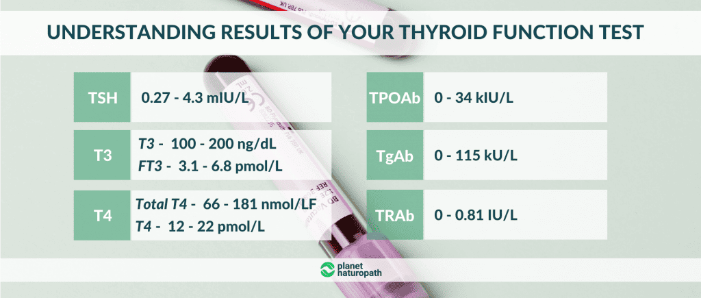 Understanding-results-of-your-thyroid-function-test