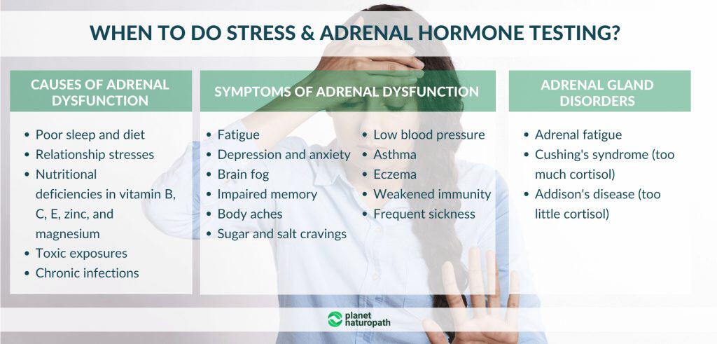 The Best Way To Test Your Hormones (hint-it depends on which hormones you are testing) 7 When-to-do-stress-adrenal-hormone-testing