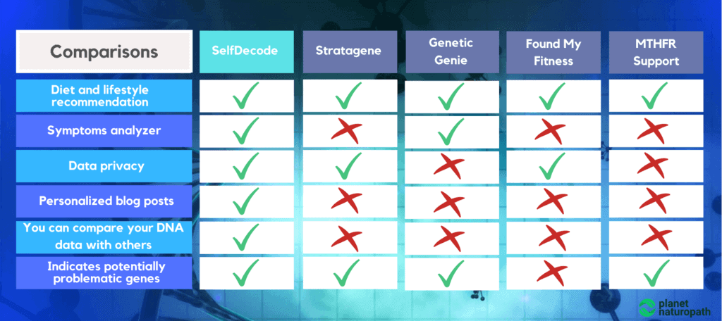 Alternatives-to-SelfDecode