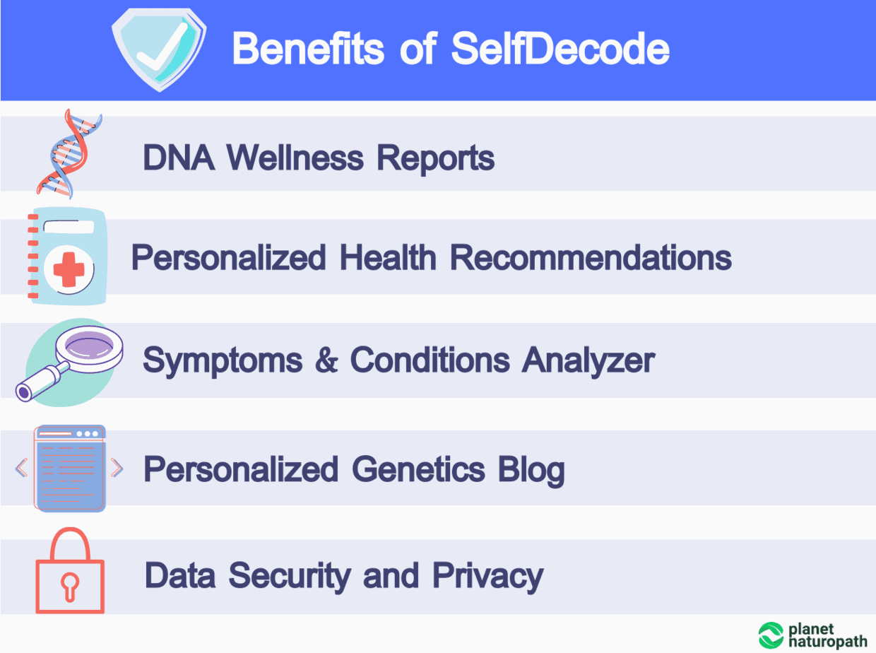 Benefits-of-SelfDecode 2.0