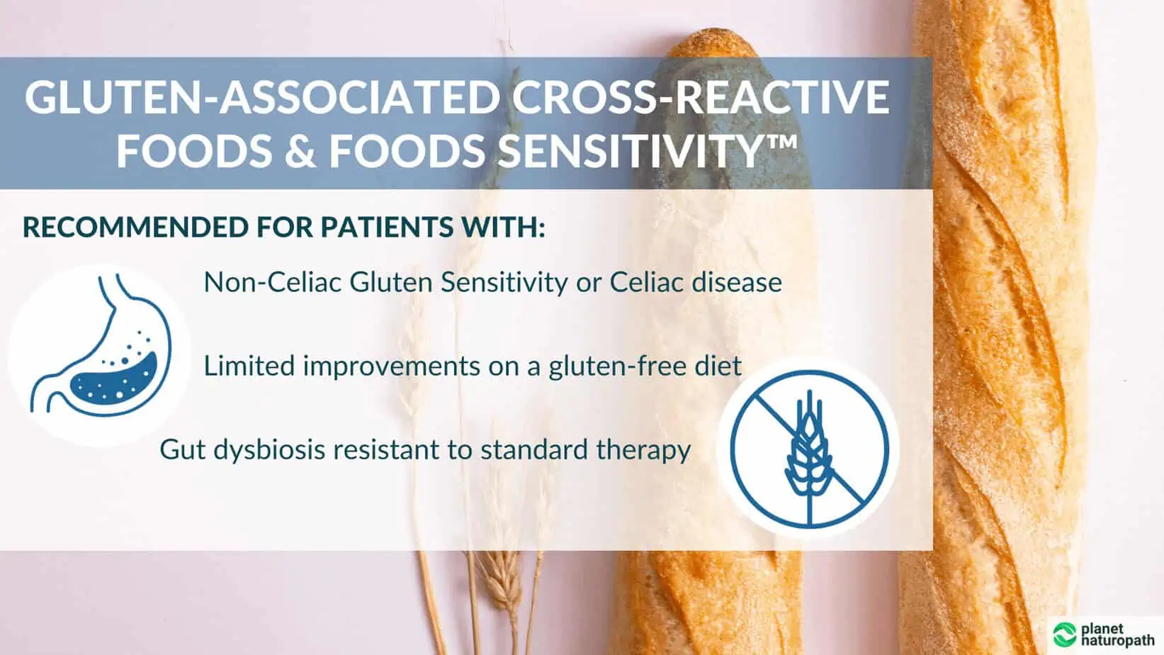 Cyrex Tests: 9 of the Most Popular Options 6 Cyrex Tests: 9 of the Most Popular Options 5