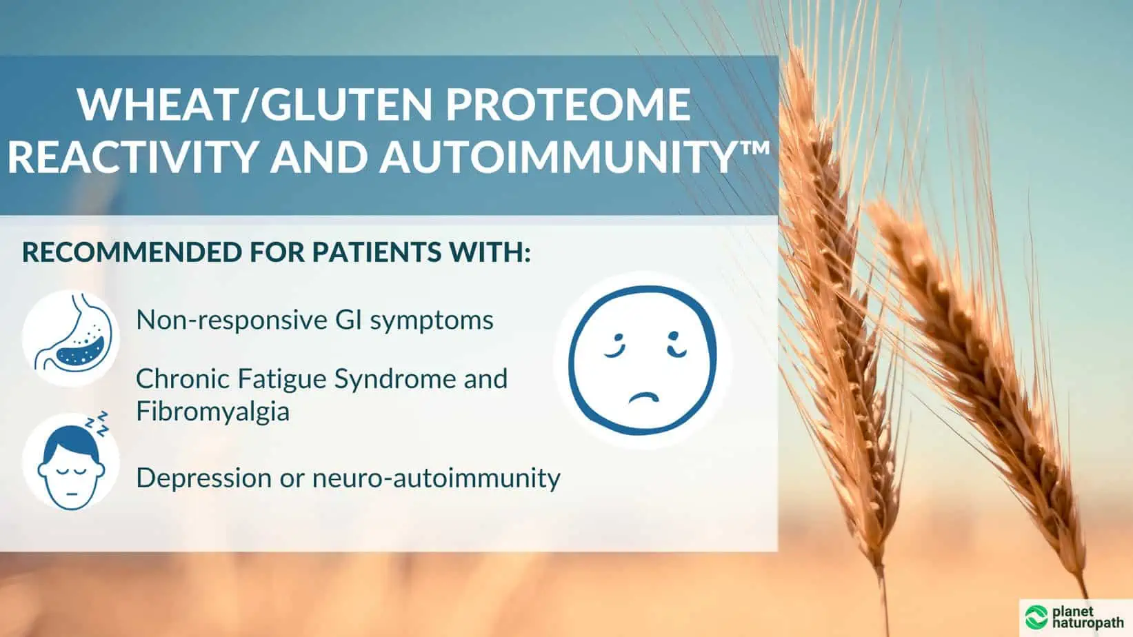 Cyrex Tests: 9 of the Most Popular Options 4 Cyrex Tests: 9 of the Most Popular Options 3