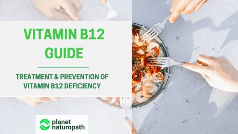 Vitamin-B12-Guide