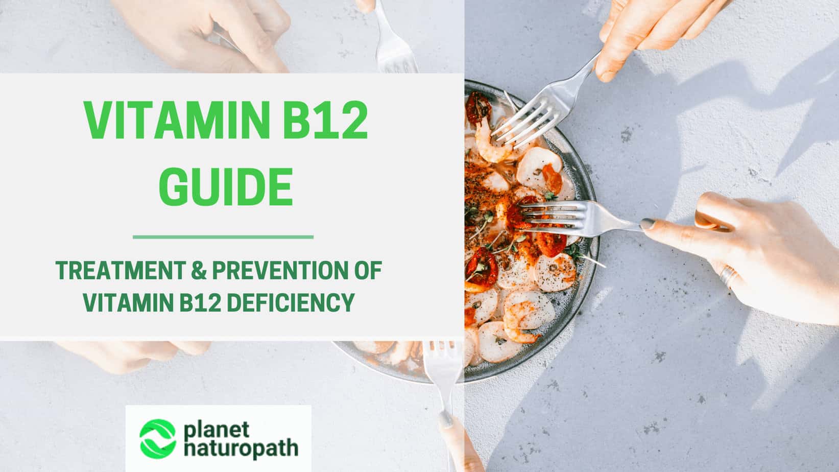 Vitamin-B12-Guide