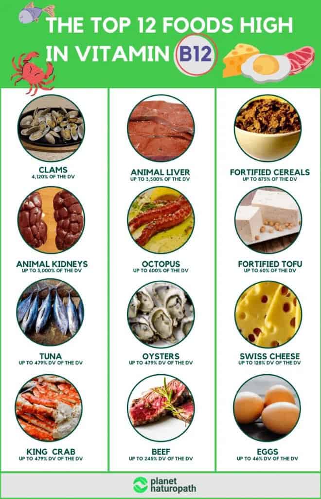 Vitamin B12 Guide: How to Treat Vitamin B12 Deficiency 5 Vitamin B12 Guide: How to Treat Vitamin B12 Deficiency 3