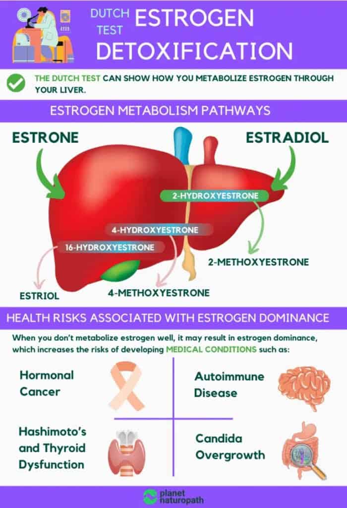 5 Surprising Benefits of the DUTCH Hormone Test 2 5 Surprising Benefits of the DUTCH Hormone Test 1