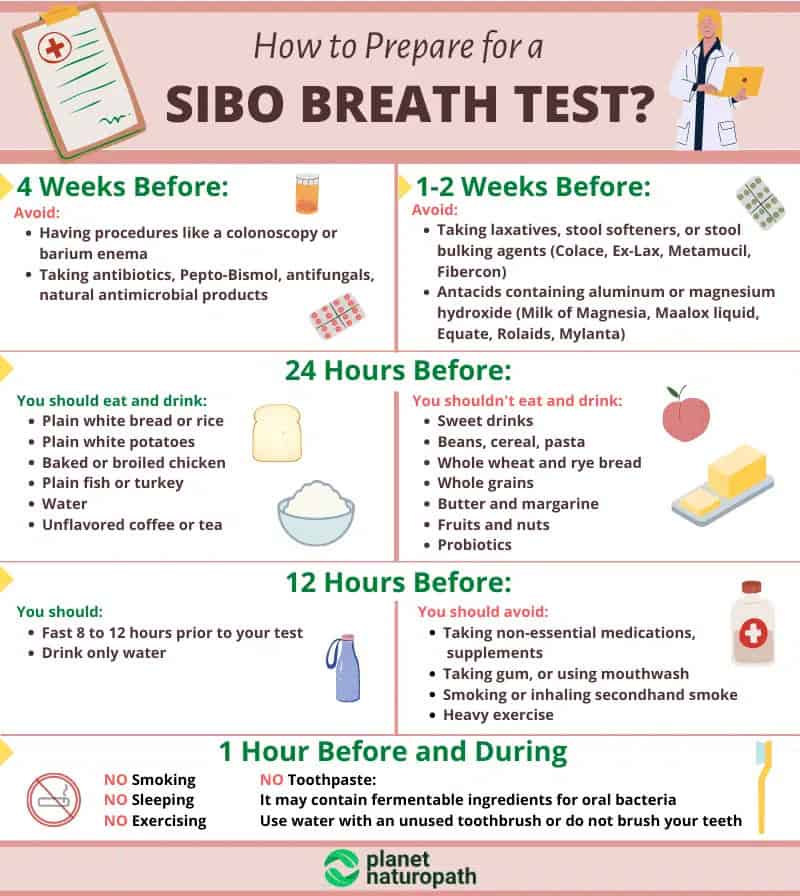 SIBO Testing: Is It Worth It? 7 SIBO Testing: Is It Worth It? 6