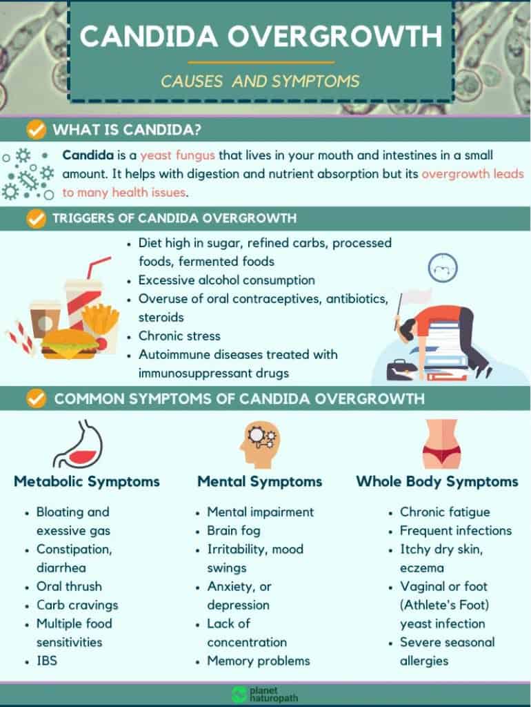15 Reasons Everyone With a Neurological Disorder Should Do the OAT Test 2 15 Reasons Everyone With a Neurological Disorder Should Do the OAT Test 1