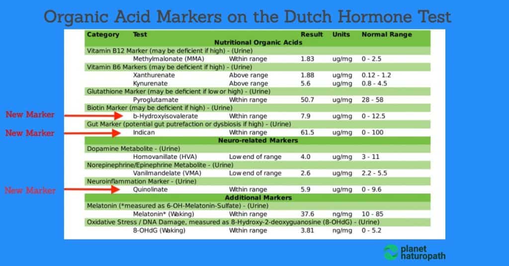 Organic Acid Markers on the Dutch Hormone Test