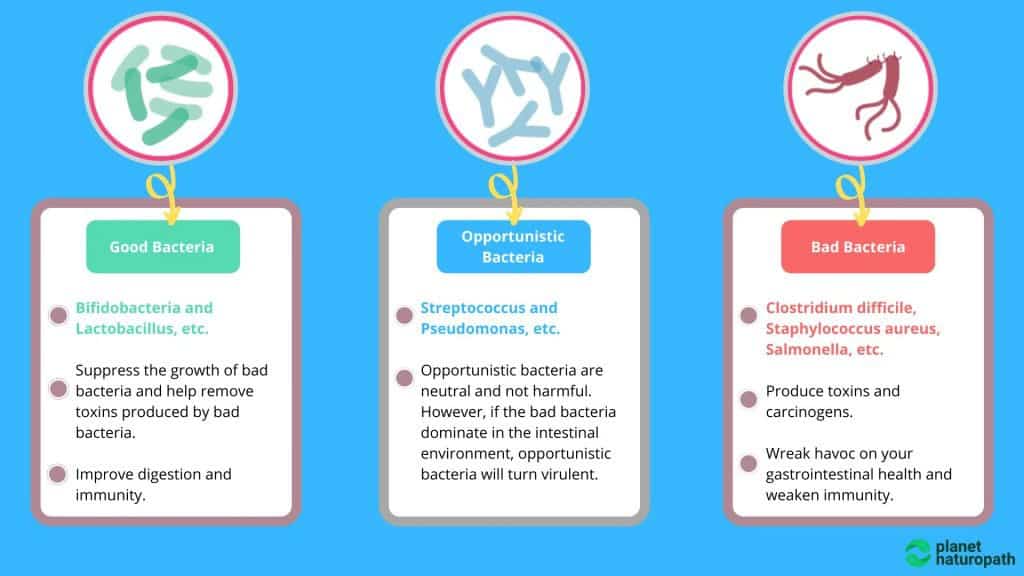 GI Map Stool Test (Order Online) 2 GI Map Stool Test (Order Online) 1