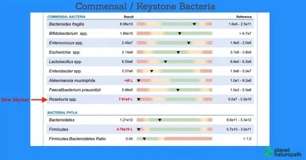 GI Map Stool Test (Order Online) 3