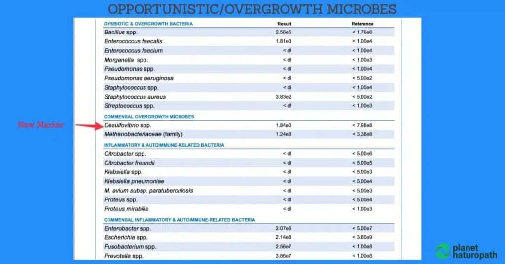 GI Map Stool Test (Order Online) 4