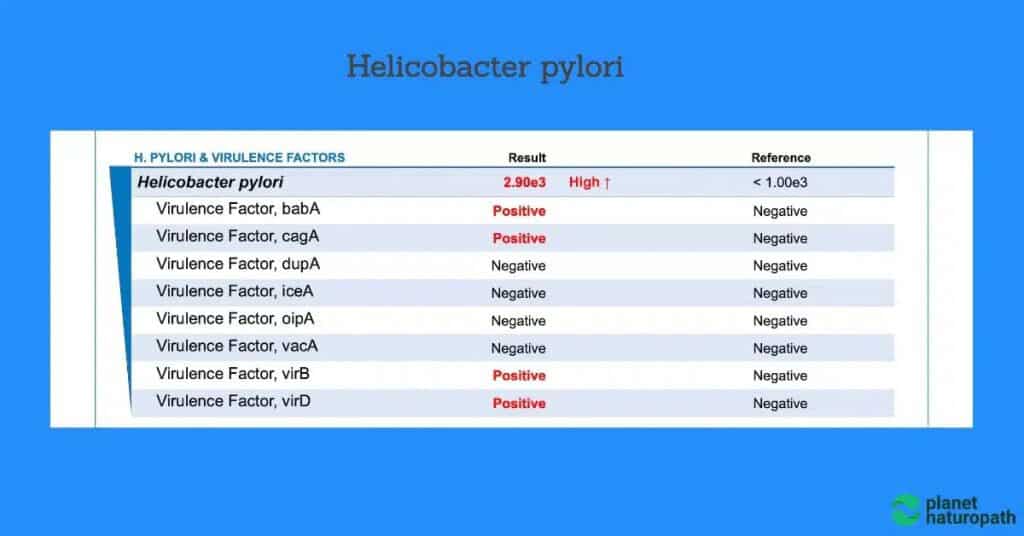 GI Map Stool Test (Order Online) 6 GI Map Stool Test (Order Online) 5