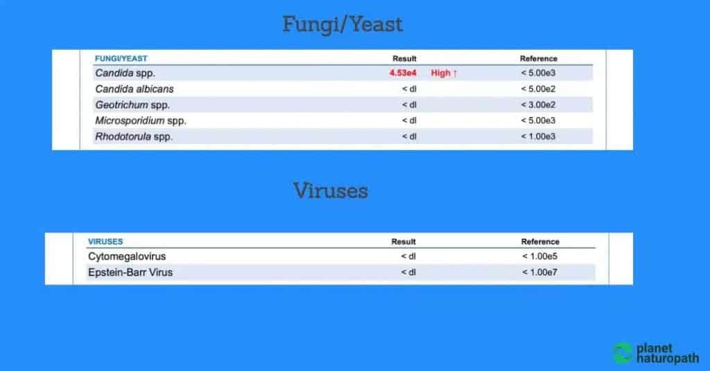 GI Map Stool Test (Order Online) 7 GI Map Stool Test (Order Online) 6