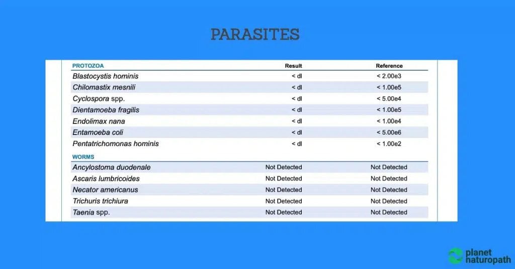 GI Map Stool Test (Order Online) 7