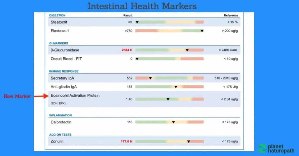 GI Map Stool Test (Order Online) 9