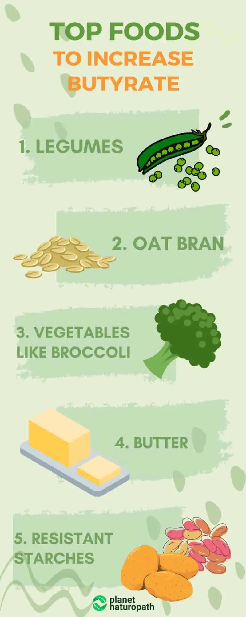 Butyrate Benefits: 10 Things You Need to Know 3 Butyrate Benefits: 10 Things You Need to Know 3