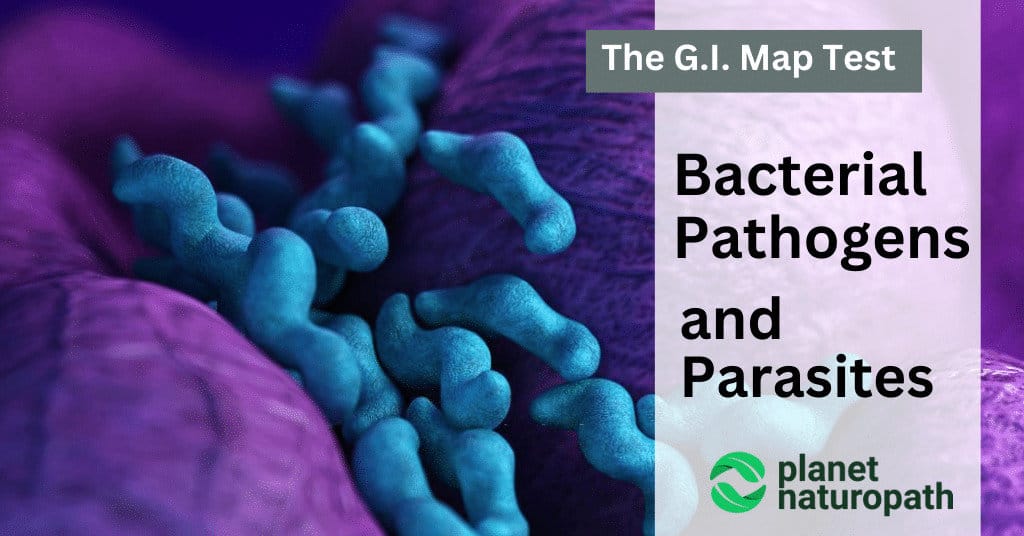 GI Map Test: Bacterial Pathogens and Parasites