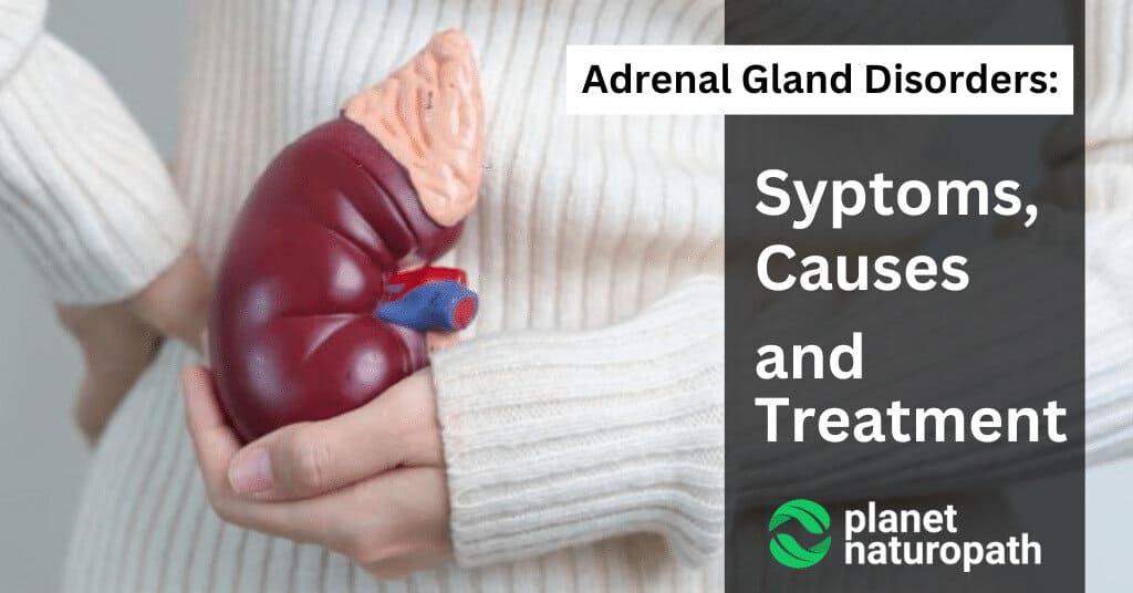 Adrenal symptoms causes and treatments