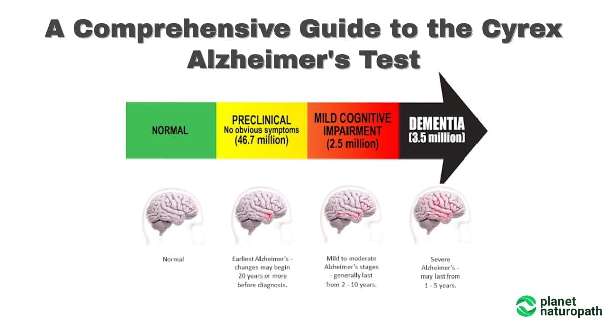 Comprehensive Guide to the Cyrex Alzheimer's Test