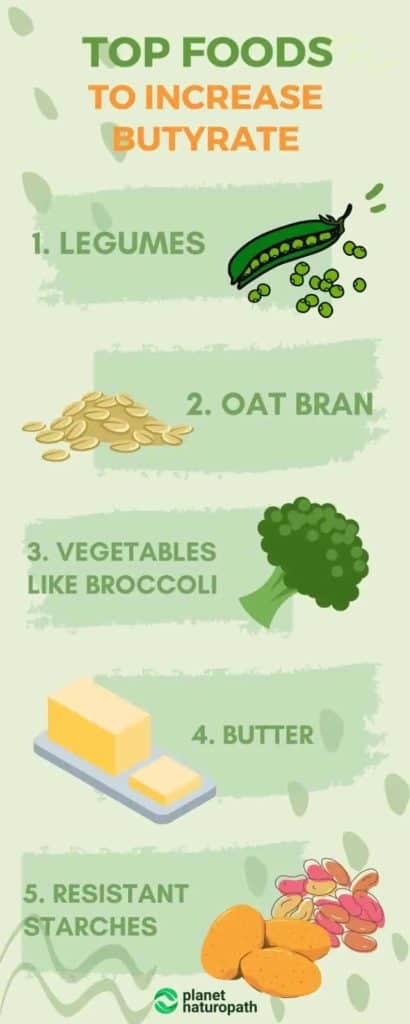 How Your Gut Microbiome Shapes Your Health 1