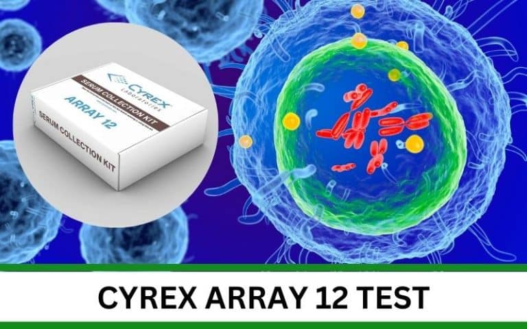 Cyrex Array 12 Test featured image