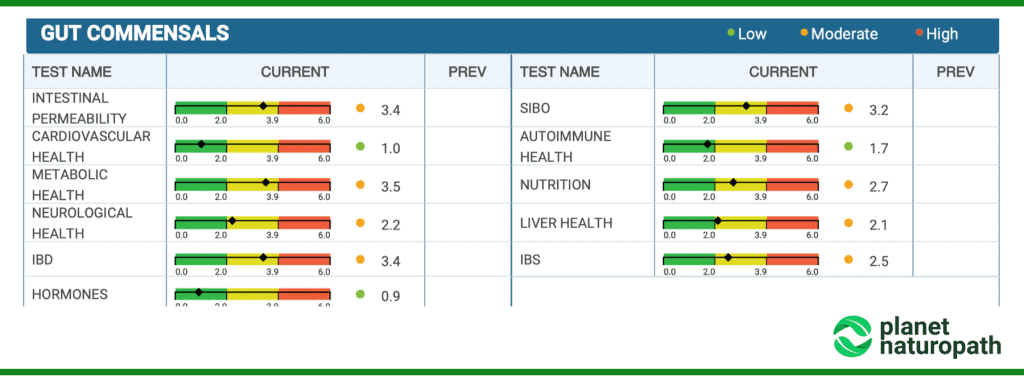 Vibrant Wellness Gut Zoomer 3.0 Test 5 Gut Zoomer Test Gut Commensals