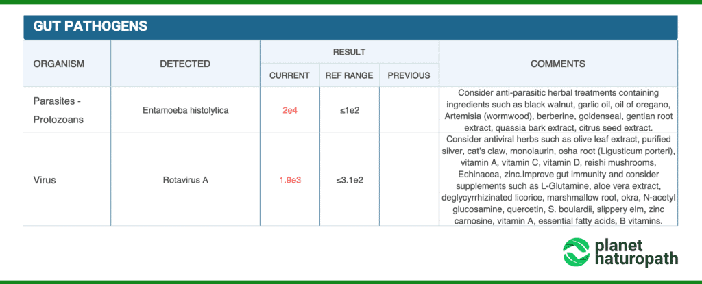 Vibrant Wellness Gut Zoomer 3.0 Test 6 Gut Zoomer Test Gut Pathogens