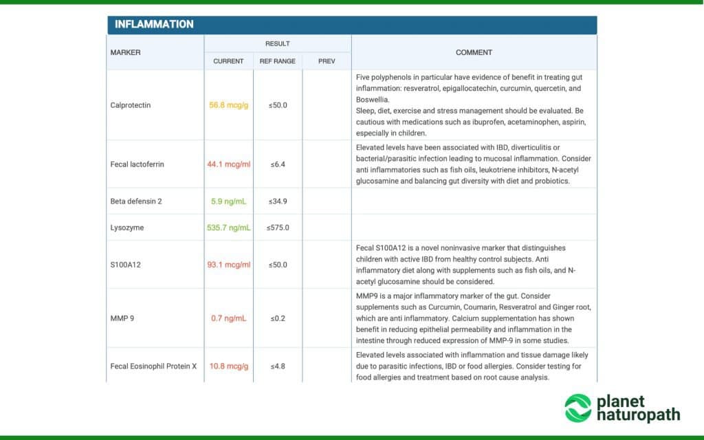 Vibrant Wellness Gut Zoomer 3.0 Test 3 Vibrant Wellness Gut Zoomer 3.0 Test 2