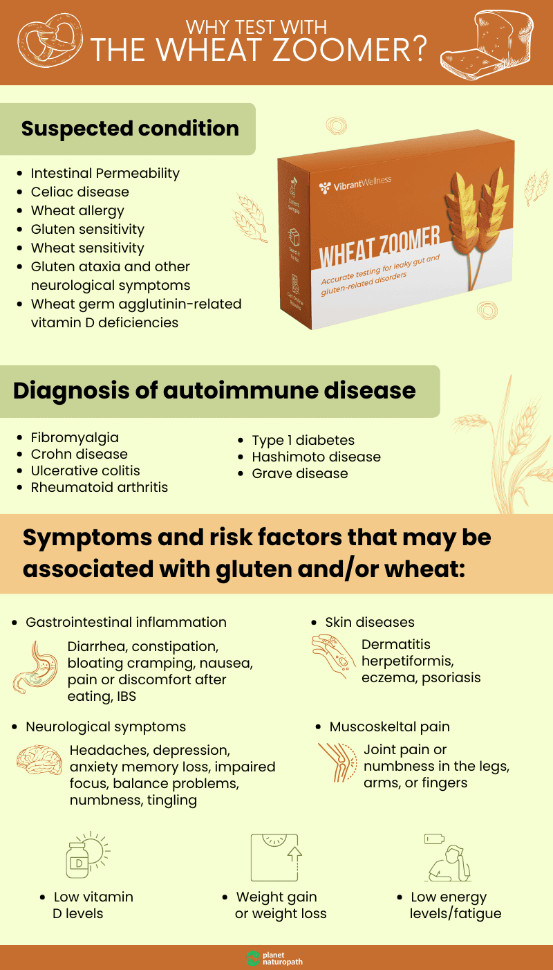 Why test with the Wheat Zoomer Why test with the Wheat Zoomer