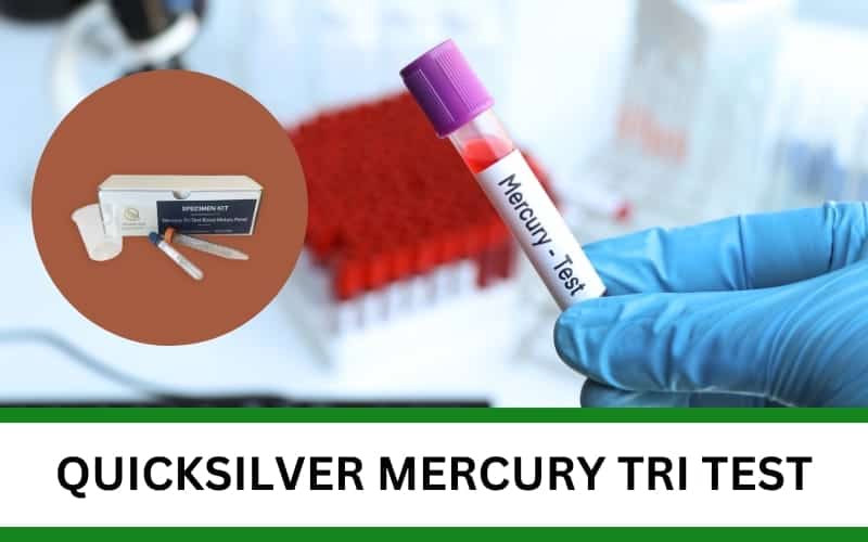 quicksilver mercury tri test featured image