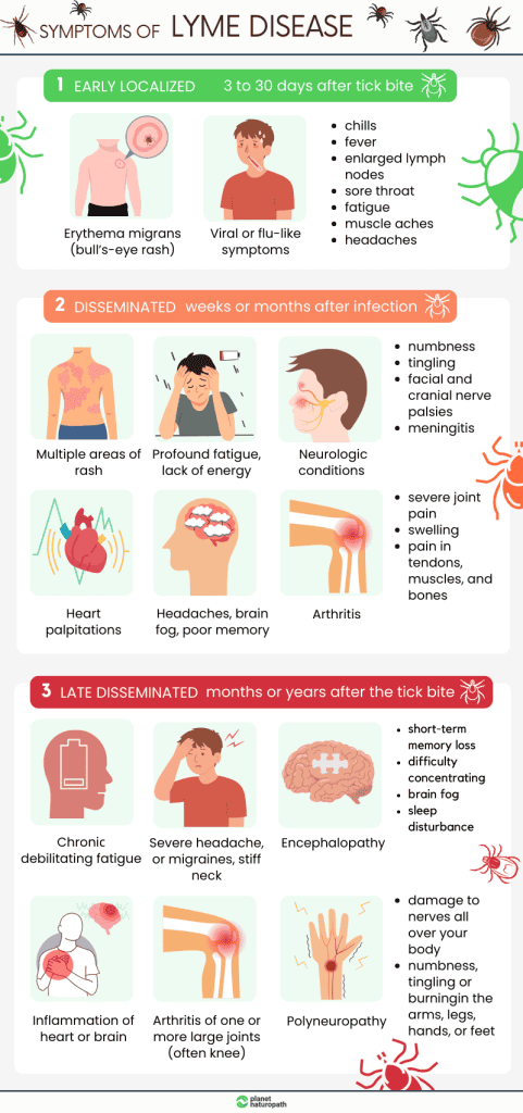 Symptoms of Lyme disease