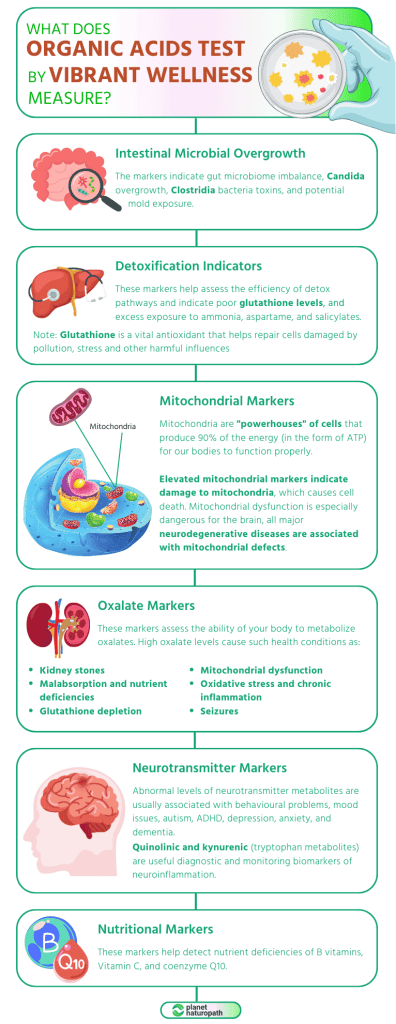 What does Organic Acids Test by Vibrant Wellness measure