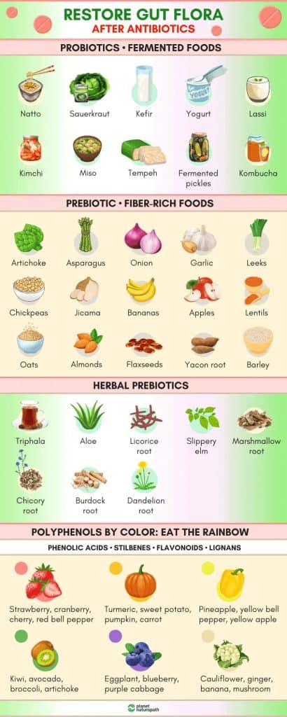 How To Restore Gut Health After Antibiotics 2